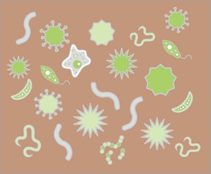 ①有機物を虫さんが食べる