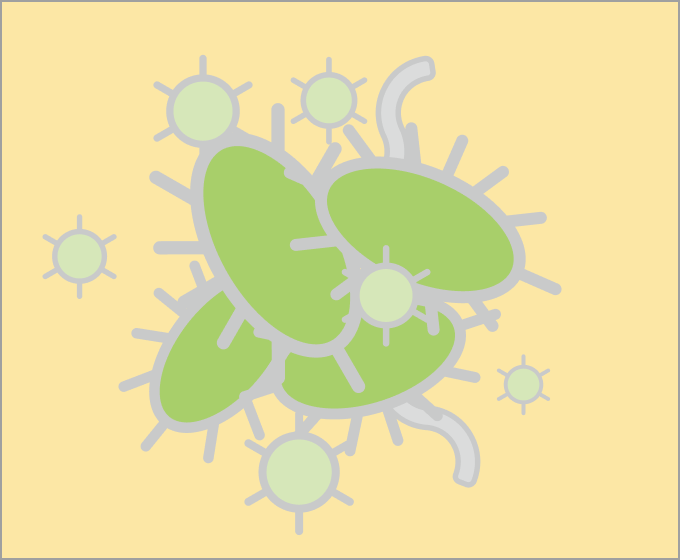 ②虫さんが虫さんを食べて塊が大きくなる（重くなる）