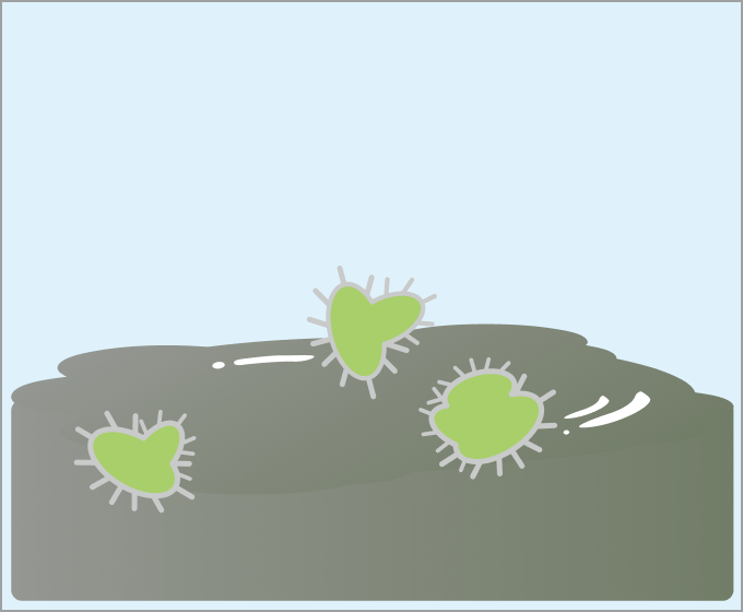 ③汚泥として沈殿し水がキレイになる