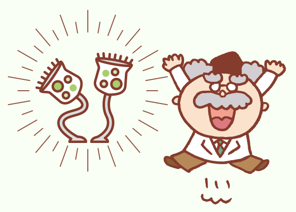 ④一番のお気に入りはツリガネムシ！その理由は？